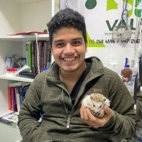 Diego Alexis Díaz Ramírez