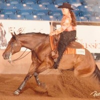 Krystal Towle