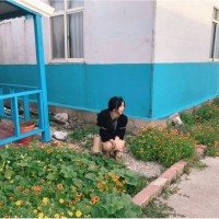 Yi-Fan Su