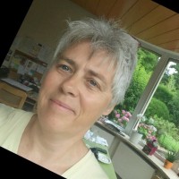Veerle Van Audenhove