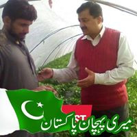 Hamayun Ghulam Ahmad
