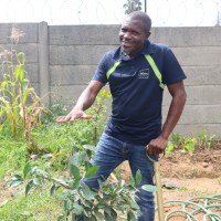 Association Of Parks And Recreation Africa Bishop Ngobeli