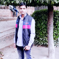 Vipin Gaav