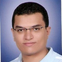 Mohamed Hanafy Abdelsalam