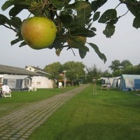 camping de Vijverhof