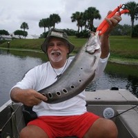FRANK ALOI