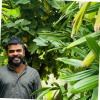 Nikhil Sebastian