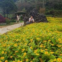 Tới Lê