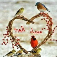 حذيفة علي الحسن