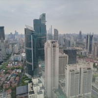 曹泽龙