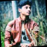 Sanjib Ani