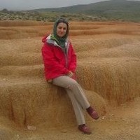 Farkhondeh Memarzadeh