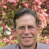 Steve Weigold