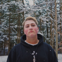 Avi Bauer