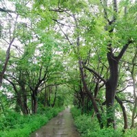 谢根林
