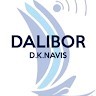 Dalibor Navis