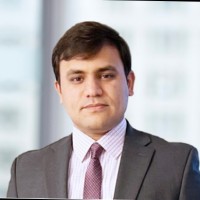 Mujtaba Amini, Cpa, Fcca