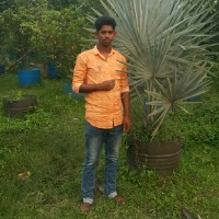 Tazim Shaikh