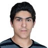 Hamed Dehqan