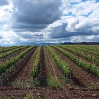 Juan Luis de Mingo Sánchez