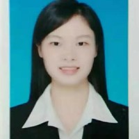段奇美