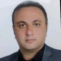 Hamed Nadimara
