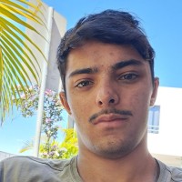 Luis Henrique Schwab