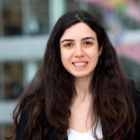 Hazel Pelin Özgür