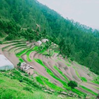 Km Anamika