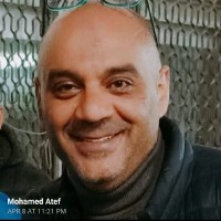 Mohamed Atef