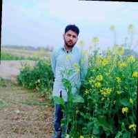 Waseem Jutt