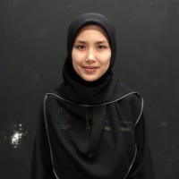 ANIS HASHIM