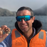 Carlos Raul Soriano Castillo