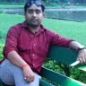 Bishal Kumar Gupta
