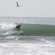 Mike Thurston