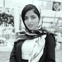 Shima Rezaeian Niri