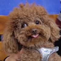 唐艺恒