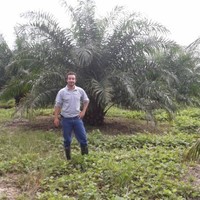 Emilio Fandiño Laverde