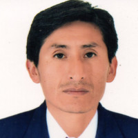 ROMEL ARTURO ROSALES GOMERO