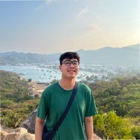 Viet Hoang