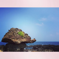 李思进