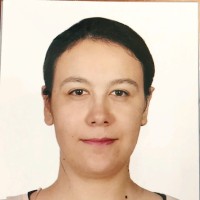 Idil Turesin
