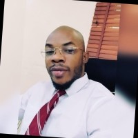 Opeyemi Ogunbadejo, APRM