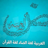 Shaimaa Araky