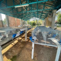 NorNadzaty Azma Mohamad Tajudin