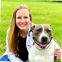 Dr. Lauren Stone-Mockler