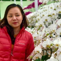 Anh Thai