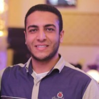 Mahmoud Altaweel