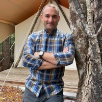 David DiFalco, MBA