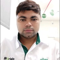 Anderson Amaral De Souza